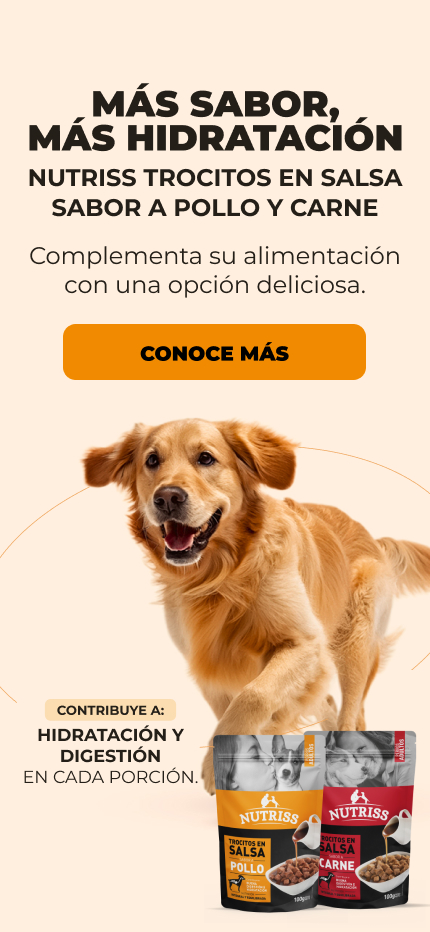 Banner: NP Home Julio Nutriss Humedo Dog